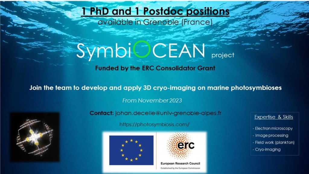 Join the team!!! open positions on the ERC project