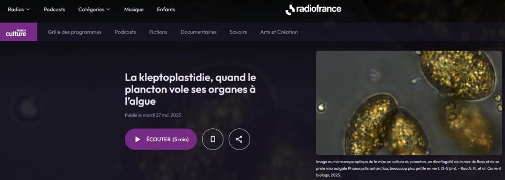 France culture_itw