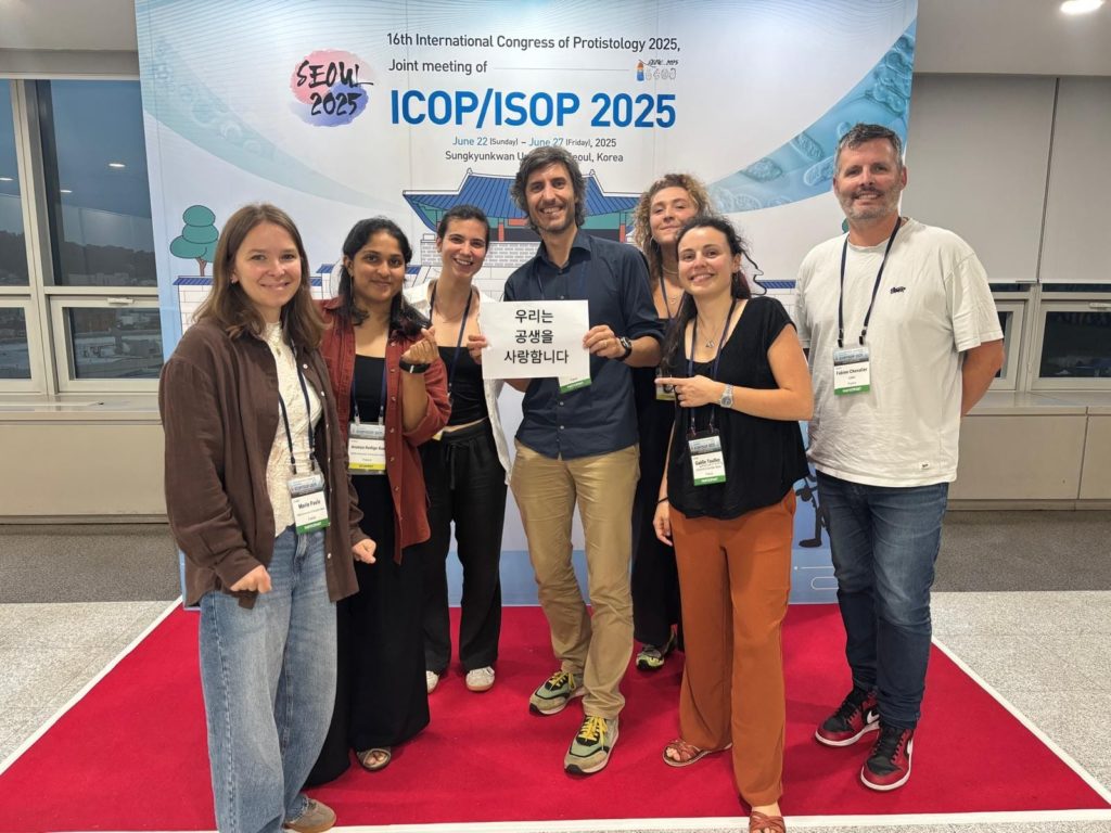 Participation to the International Conference of Protistology (ICOP/ISOP) in Seoul (Republic ok Korea)