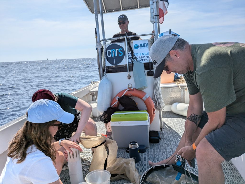 New sampling of planktonic symbioses in the Mediterranean Sea