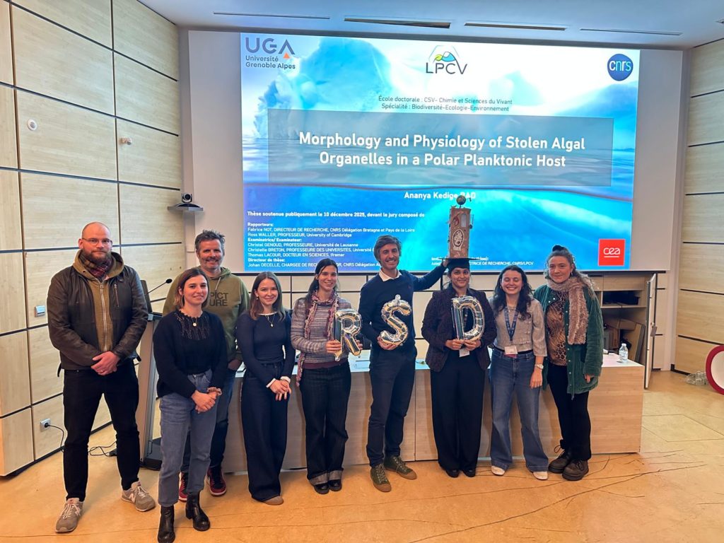 Morphological and Physiological Changes of Stolen Algal Organelles in a Polar Planktonic Host