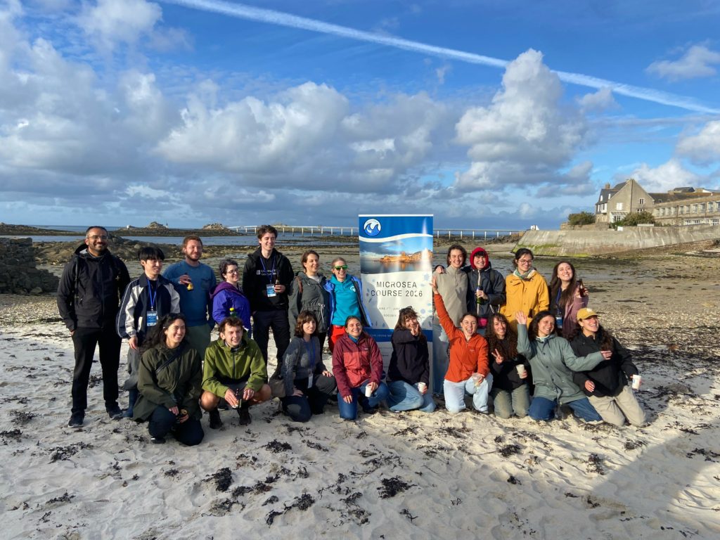 For early career researchers studding marine protists biodiversity