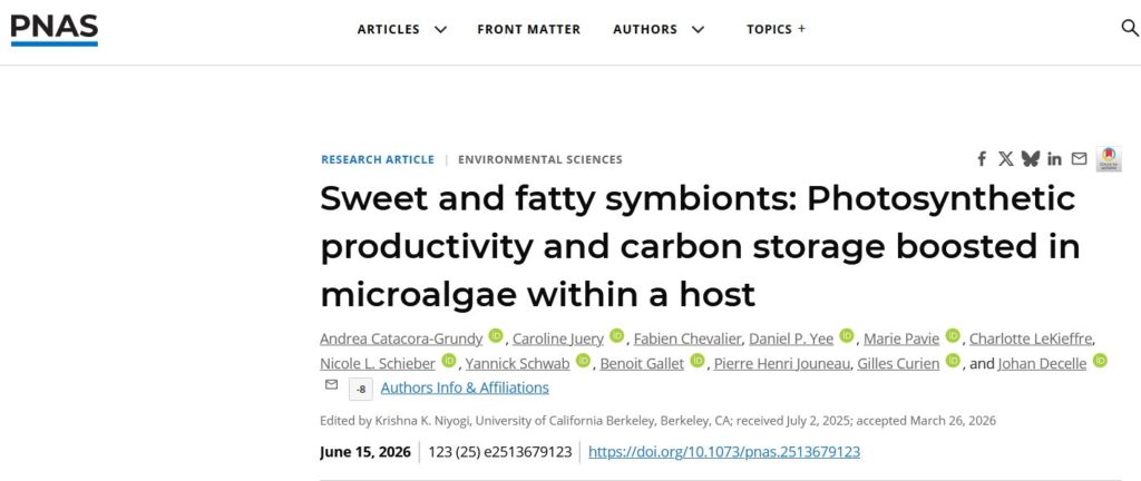 New publication in PNAS showing the morphological and metabolic transformation of a symbiotic microalga inside a host (Paramecium-Chlorella symbiosis).