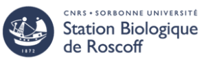 stationlogo